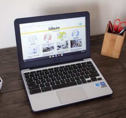 ASUS Chromebook C202